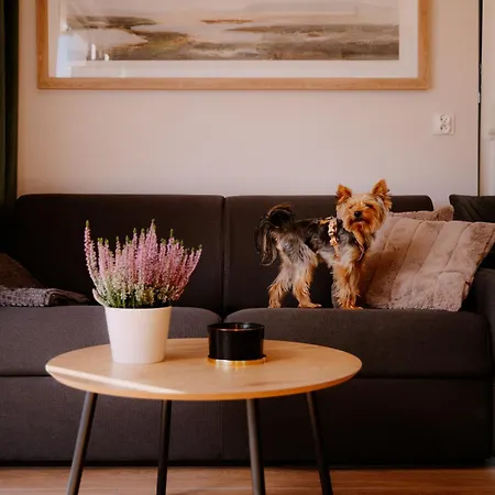 빌라 Osada Pod Gwiazdami & - Family Ogrodzony Dom, Kominek, Grill, Ognisko, Kajaki, Plaza, Jeziora, Opcja Prywatnego Jacuzzi *